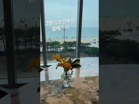 [보들라이프] 그랜드조선부산 맛집 팔레드신