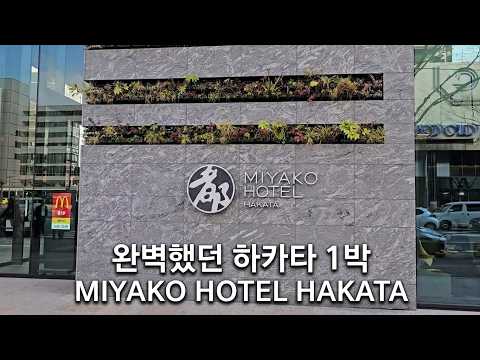슈페리어 트윈룸 (헐리우드 세팅 시 240cm) 룸투어 영상